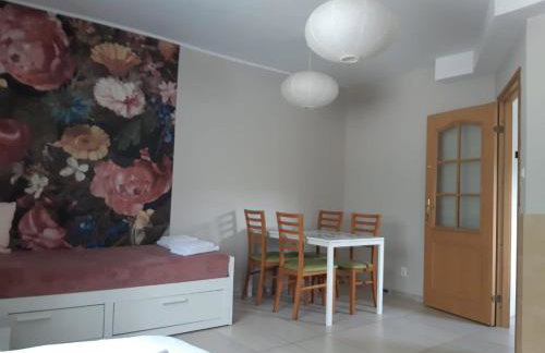 Apartamenty Rodzinne Pilica PARK - Foto 20