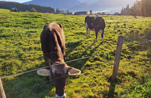 Ferienwohnung Gipfelstürmer - Photo 40