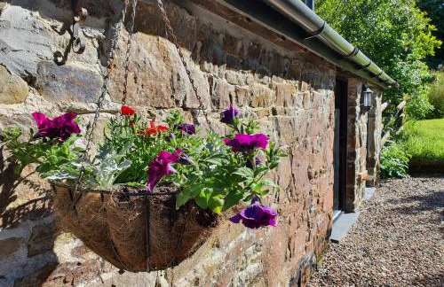 Puddleduck Valley - Dog Friendly - Foto 26