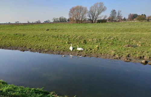 Tawny Owl Cottage - Foto 32