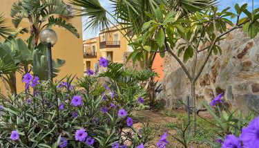 Aloha Apartman Arguineguin - Foto 5, Garden