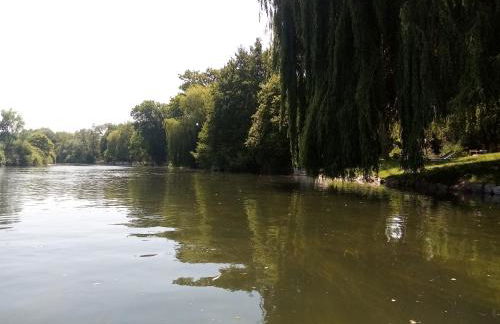 PETIT APPARTEMENT 30M2, 3 lits, de 1 à 4 pers - Foto 36