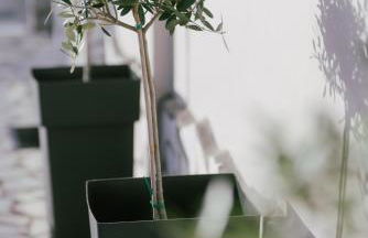 Sea La Vie - Foto 29