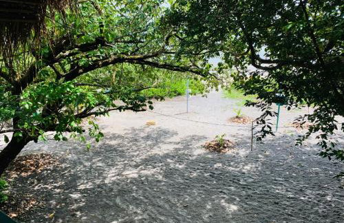 FM Algodoal - Foto 7