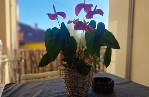 Le Zie Valdilana - Foto 22