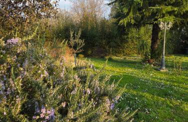 Farfalle in fiore Guesthouse - Foto 3