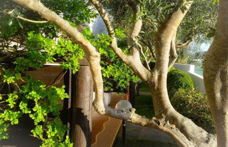 Appartamenti Luongo - Foto 71