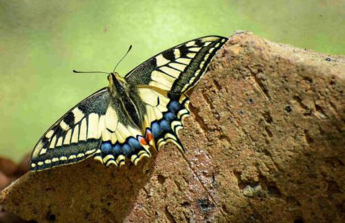 Appartement familial avec terrasse et parking - Foto 33