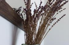 Lily Home_Lefkada ~ Private Country house - Foto 33