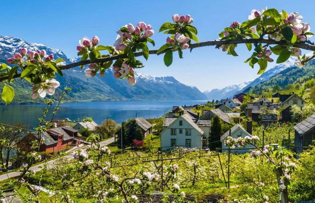 Excursión al fiordo de Hardanger + Teleférico Voss Gondol - Foto 3