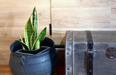 Ocean Hill House - Foto 17