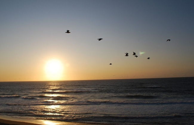 Admiral's Beach Retreat - Foto 42