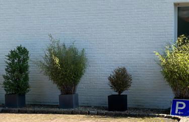 Ferienwohnung Rehblick in Reken - Ruhe & Erholung pur! - Foto 27