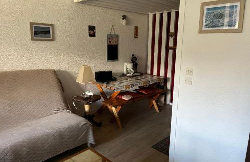 Grand Studio VILLARD DE LANS Les Glovettes - Foto 4