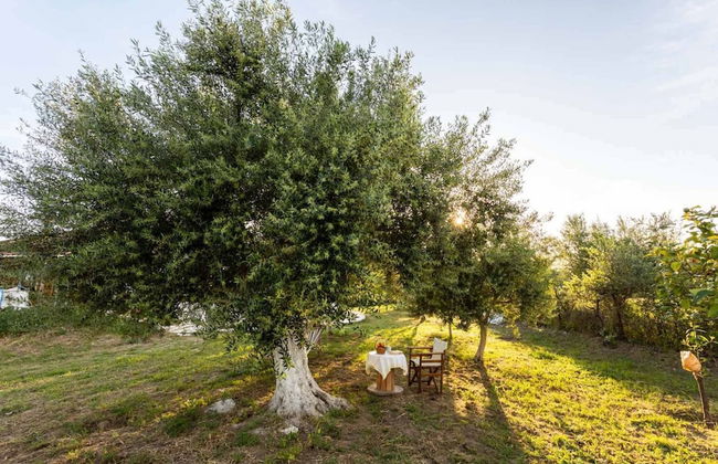 Petalidi Sunny Home One - Foto 36