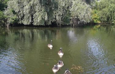 feel-good-appartements - Foto 1