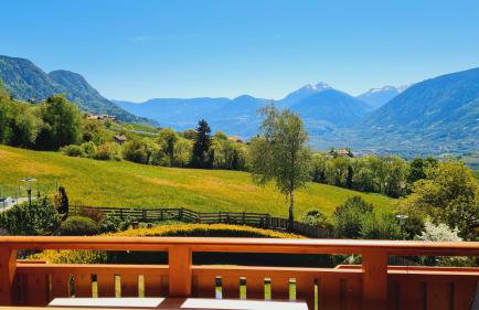 Residence Krone - Foto 56