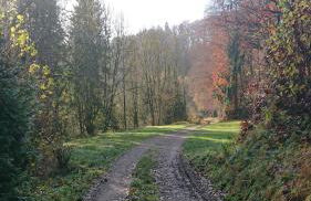 Eifelvilla Urbigkeit - Foto 8