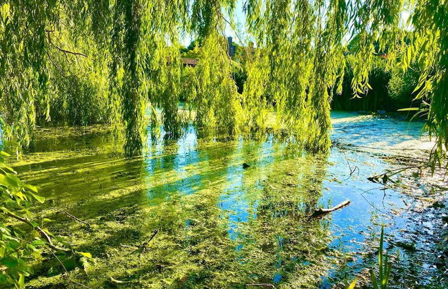 Idyllic Country Retreat With Wow Views & Lush Pool - Foto 71