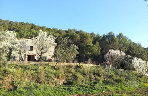 MASIA CAN SUNYER AGROTURISMO - Foto 15