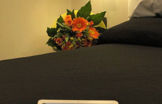 TREVI PORTRAIT - Foto 2