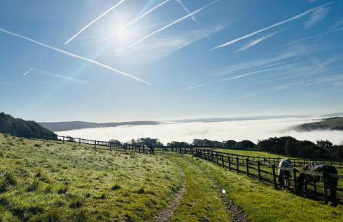Hollow Brook Cottage A Quiet Peak District Stay Surrounded by Nature Grown-Ups Only - Photo 20