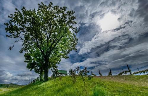small house Monferrato - Photo 16