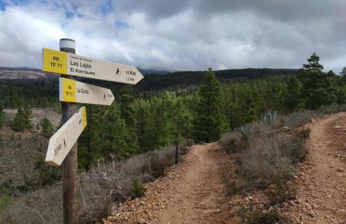 Casas Javier - Foto 18