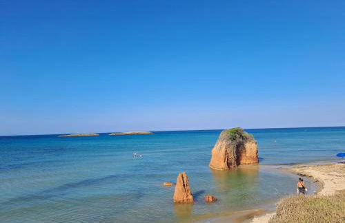 Virginia Country house - Foto 49