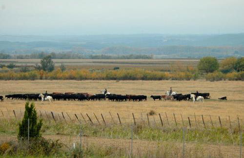 Le Petit Viala - Foto 35