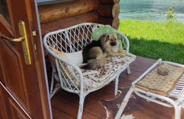 Lawendowy Domek - Foto 15