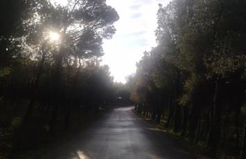 STONE of KAMARIZA - Foto 37