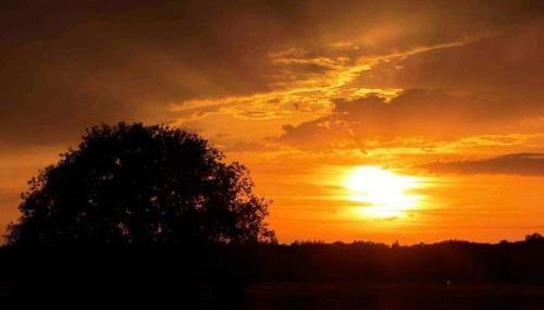 Künstlerhaus - Foto 2