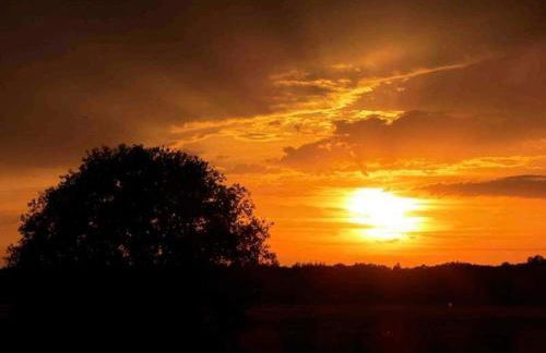 Künstlerhaus - Foto 2