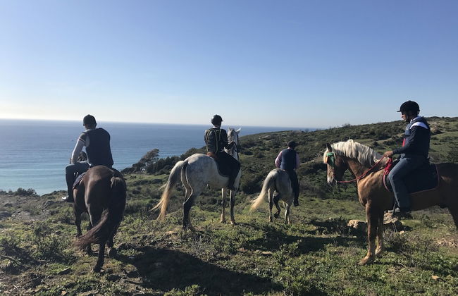 Mnar Castle Apartments - Photo 48