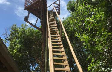 Vieja Hacienda - Photo 62