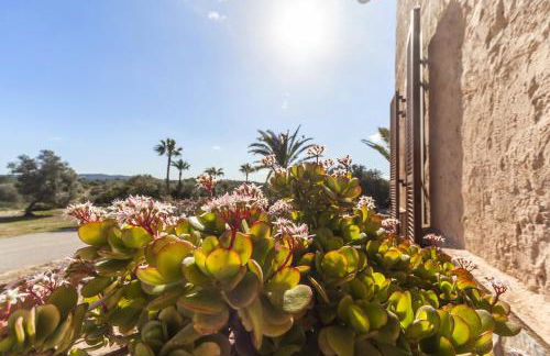 Son Binissalom - Photo 31