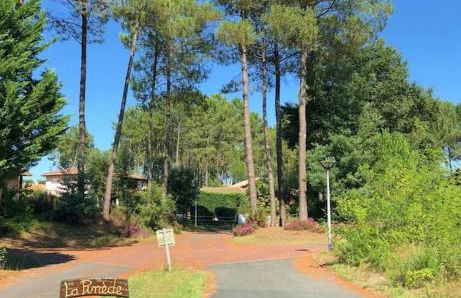 Chez Céline Sous les Pins, de 1 à 8 personnes, Piscine, Océan, Lac, Vélos - Foto 17