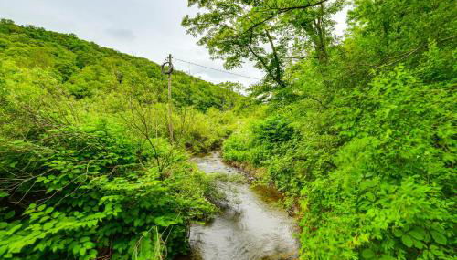 Mtn-View Deck and Grill Creekside Catskills Cabin! - Foto 2