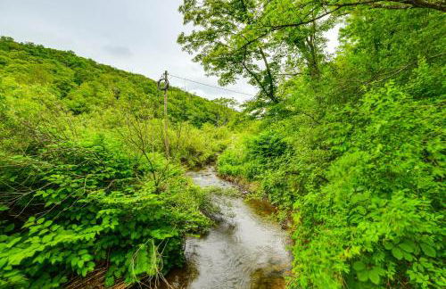 Mtn-View Deck and Grill Creekside Catskills Cabin! - Foto 2