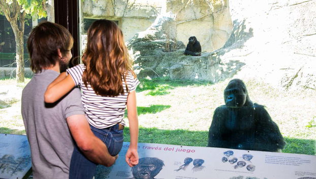 Madrid Zoo Aquarium Tickets - Photo 5