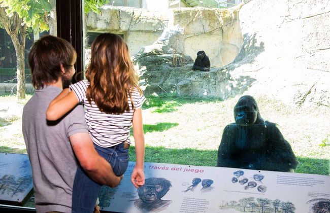 Zoo Aquarium Madrid - Foto 5