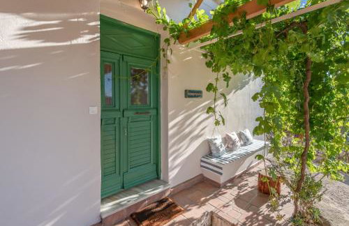 Sempreviva - Foto 74