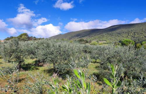 Terre de Lumière - Foto 14