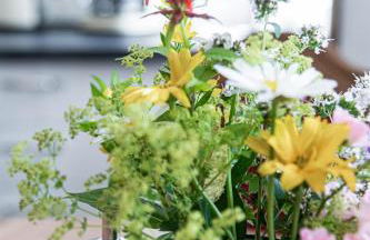 Ferienwohnungen Zum Hülsenbusch - Foto 8