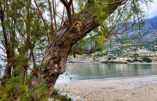 Tholos Alexandra's Beachfront House - Foto 24