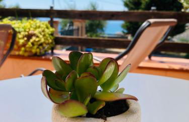 Le Miromar - Foto 13