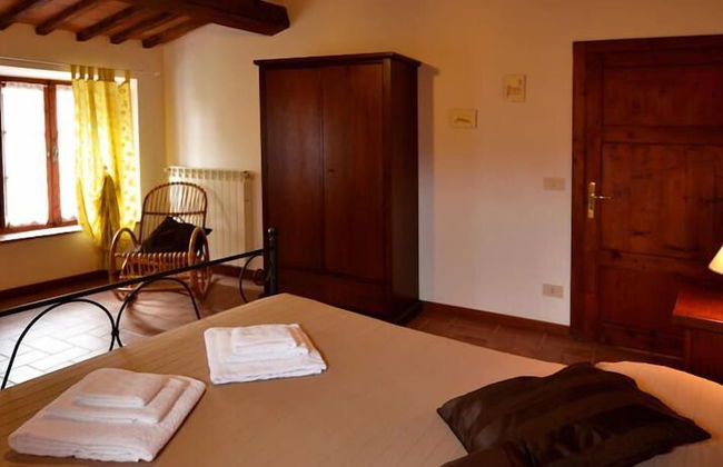 Bellavista farm of Quercini Maurizio - Foto 70