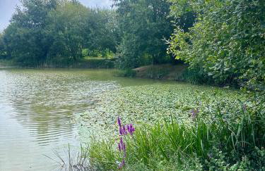 2 Bedroom Cottage in Debenham - The Old Toll House - Foto 30