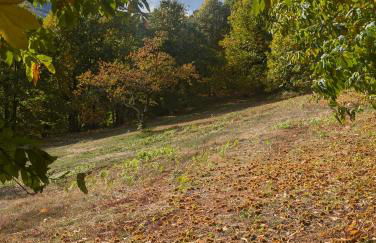 Les Hauts de Saint Privat - Foto 43